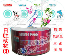 Blank Burning Disc Day Victories Animal Face CD-R Burning Discs 50 empty Discs