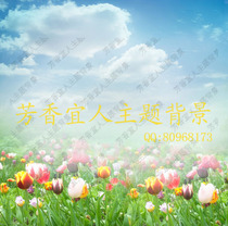 2022 Curtain photography background cloth photo studio wedding theme waterproof PP paper Childrens S-416