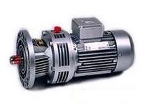 WB100 cycloid reducer 250W 1 70