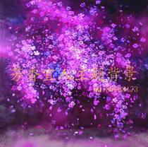 Photo studio professional studio screen background cloth photo hanging theme pp paper Childrens photo photo studio S-442