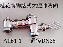 Osmanthus brand foot horizontal delay self-closing stool flushing valve A1B1-1 all copper feed raw material belt