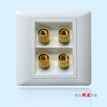 Shanghai Sunday Switch Socket 86 Type Twin (quad) sound socket 620074