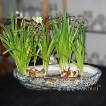 Imitation stone ceramic porcelain Narcissus vase fashion beautiful long oval Narcissus vase imitation stone daffodil Basin