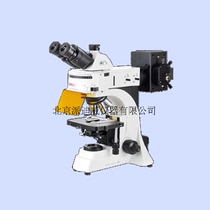 PDV paidiwei YG-41 fluorescence microscope cell fluorescence staining observation