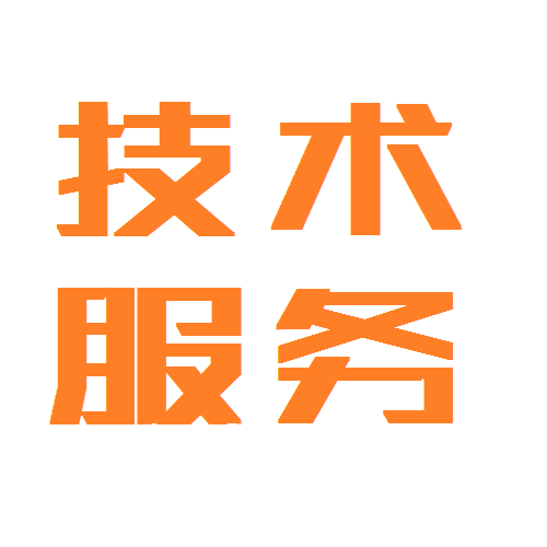 Software technical services limited to 1 piece