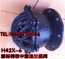 Shanghai H42X-6 national standard cast iron flange bottom valve Sewage water pump bottom valve check valve check valve DN50
