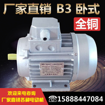 Shanghai Dedong three-phase motor YS8014 550W 1400 rpm high-speed aluminum shell motor