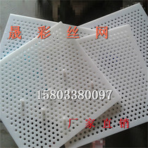 Anping Sheng color screen punching plate mesh expert plastic PP screen mesh plastic punching plate plastic perforated plate mesh