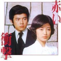 DVD machine version (shock of the bloods shock) Pass 100 Whirlpool Lovers and Mandarin 29-episode 3 discs
