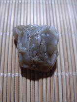 Gobi strange stone raisin agate raw stone flower via gangue vein stone collection boutique