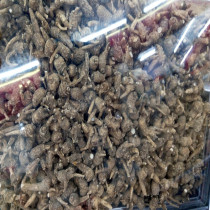American wild black American ginseng Wisconsin imported American ginseng grain American ginseng section pruning 50g