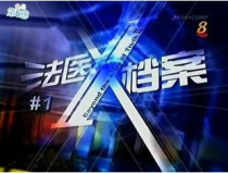 DVD machine version (forensic X file I) Chen Zhicai Pan Lingling 10 episodes 2 discs