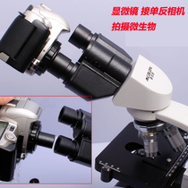 Microscope Eyepiece Transfer Canon Nikon Pentax Sony Panasonic SLR Micro Single Camera 23 2mm