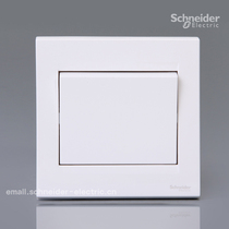 Schneider wins E1500 Ruyi series 10A 250V Single dual control switch EV51