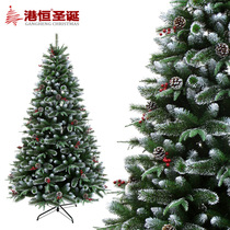 Hong Kong Heng 1 8 m sticky white pine fruit Christmas tree set package encrypted pine needle PE leaf red fruit 180cm Christmas tree 8 5kg
