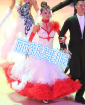 Lixin luxury ballroom dance national standard performance feathers modern dance dress new competition dress Waltz dance dress