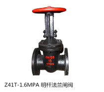 Z41T-16 Flanged open stem gate valve Cast iron flanged gate valve DN50 DN65 DN80 DN100 DN150
