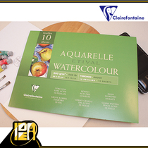 French Clairefontaine 30x 40cm cold pressed coarse mesh watercolor paper 300g- 10 sheets #96562