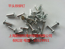 GB109 flat head Iron rivet flat head real color M8 * 10 12 14 16-40 series kg Price recommended