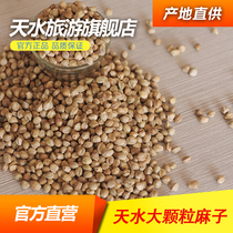 Gansu Tianshui specialty large-grain hemp seeds original cooked raw edible hemp seeds two catties