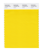 PANTONE color pass official flagship store clothing home 13-0633 to 13-0849TCX cotton fabric version single color card