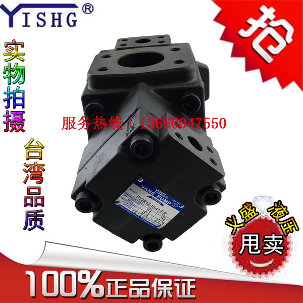YISHG pump PV2R12-6 8 10 12 14 17 19 23 25 28 31-59-F-REAA-41