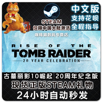 Steam pc Rise of the Tomb Raider Tomb Raider 10 Rise 20th Anniversary Edition