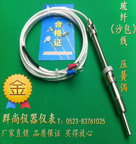High sensitive spring Thermocouple Type K ya huang ou WRNT-01 thermocouple sensor ce wen xian
