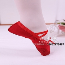 New adult girls ballet soft soled shoes Childrens practice shoes Cat claw shoes Teacher and student yoga practice dance light shoes
