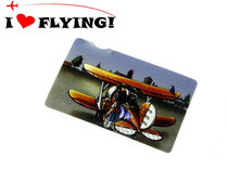I love flying) flight diary looking up at the sky I and the small plane bus card identification card meal card sticker