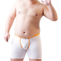 Design Cute Little Bear Print For Bears enlarge Lengthened Anti-Wear Thighs Comfort Seductive Exciton Transparent Flat Corner Briefs