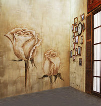 2022 photo gallery wedding photo studio Digital photography background cloth theme background paper hanging photography cloth CM-4057