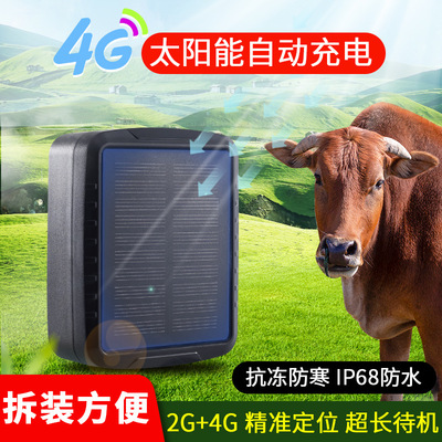 taobao agent 4G positioner solar tracker GPS grazing cattle, sheep, waterproof tracker to prevent throwing Beidou satellite positioning
