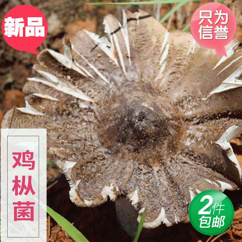 ★搜菇 黑鸡枞菌冻干 25g 9.9元包邮(需用券)