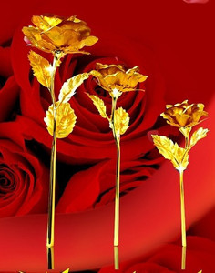热销金黄色玫瑰花 情人节礼物表白礼物金泊玖瑰花出品欧美