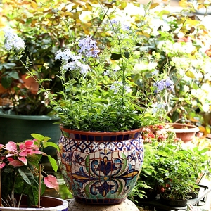 欧式美式乡村户外庭院手绘陶瓷马赛克大号花盆花园阳台装饰摆件