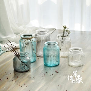 干花花瓶玻璃透明欧式创意小清新水培绿萝个性插花装饰满天星花瓶