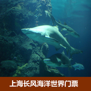 [上海长风海洋世界-大门票]海洋馆公园 双馆水族馆+鳐鱼馆