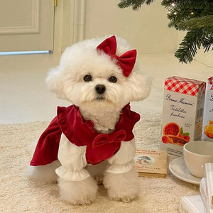 小狗狗圣诞节公主裙子秋冬季泰迪比熊博美小型犬宠物猫咪衣服